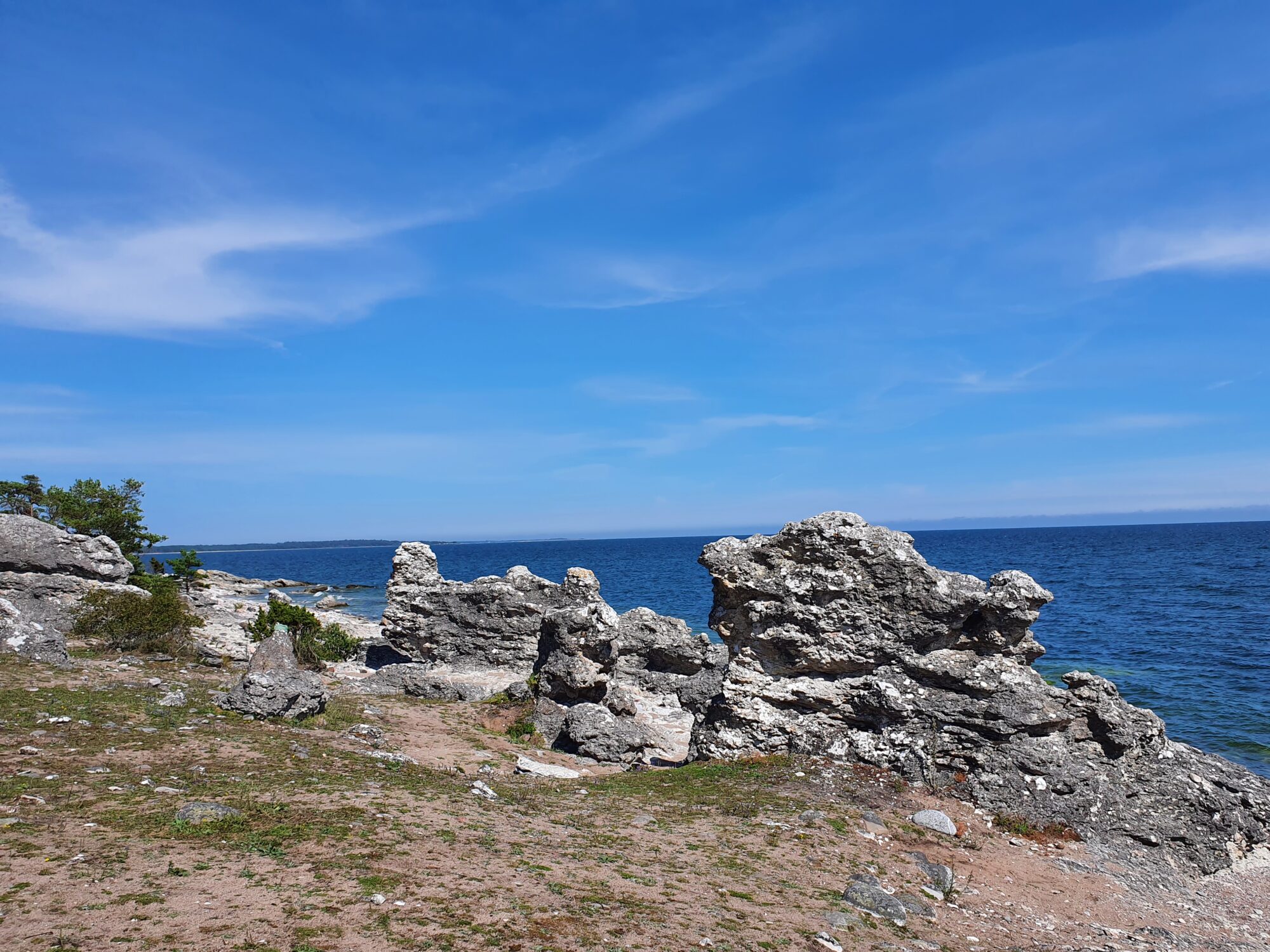 Raukar auf Gotland