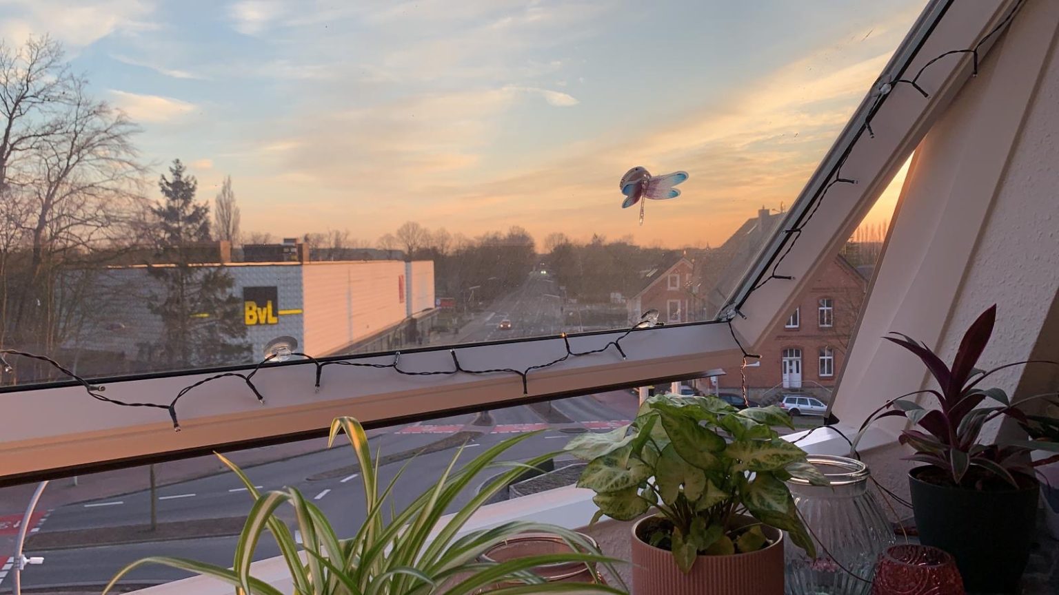 Lingen grüßt die Welt Der Blick aus dem Fenster (Tag 4