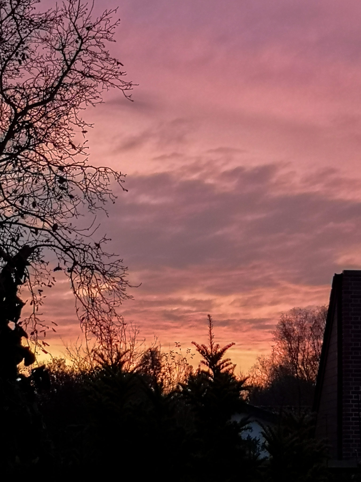 Lingen grüßt die Welt Der Blick aus dem Fenster (Tag 14