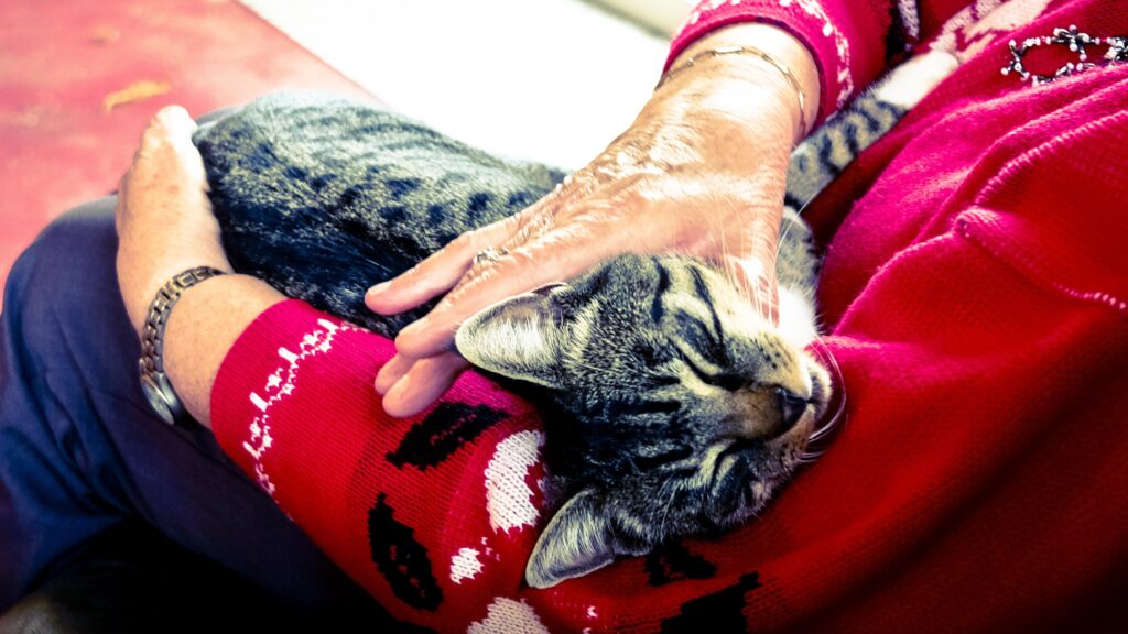 Ältere Dame mit einer Katze auf dem Arm